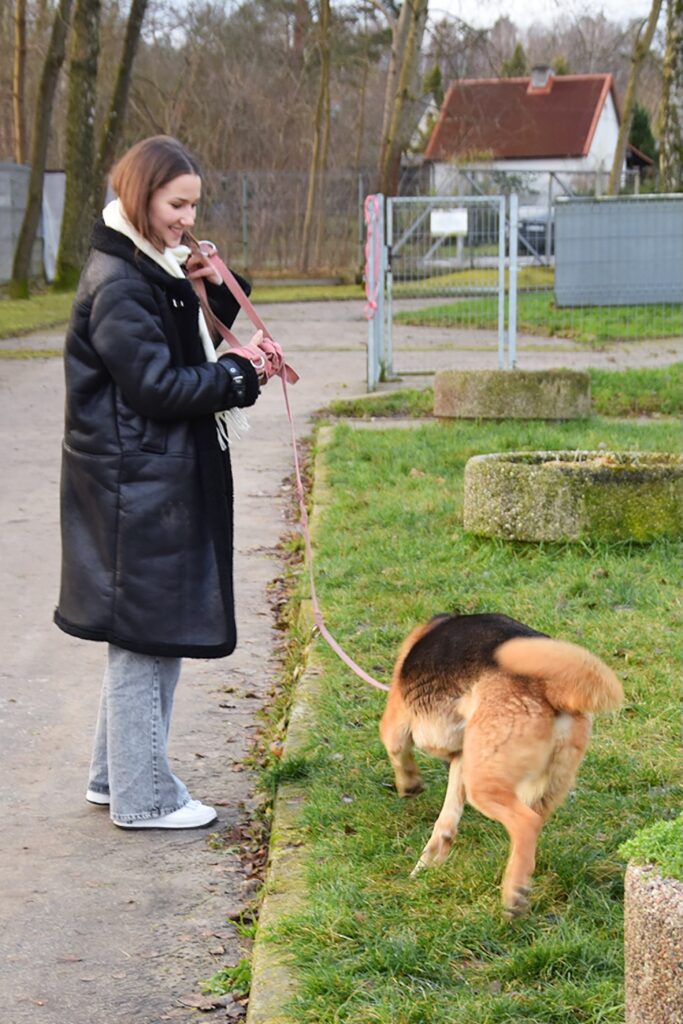 Wyprowadzanie psów.