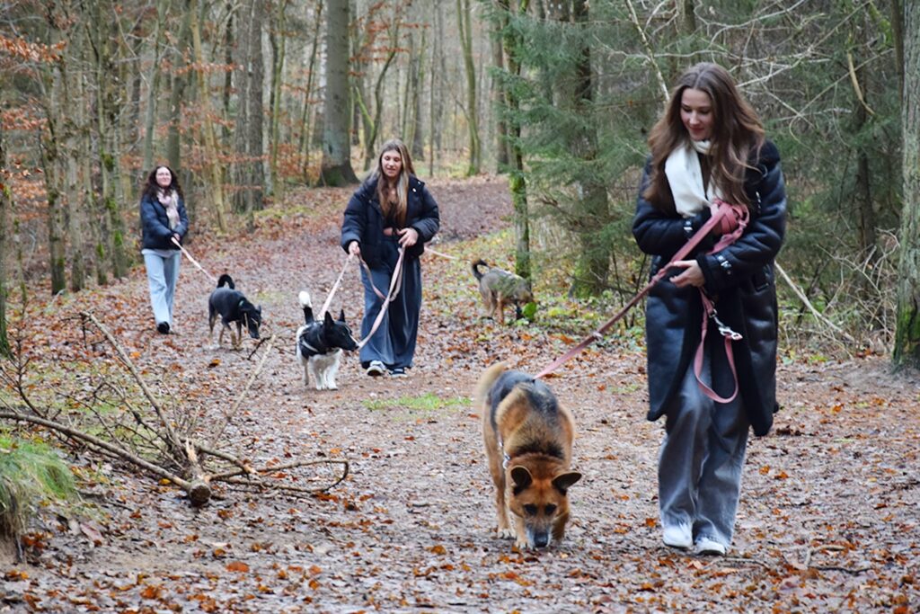 Uczniowie szkoły na spacerze ze zwierzętami.